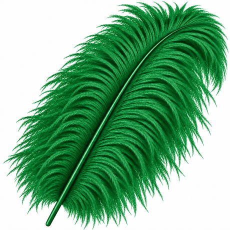 22-24 Inch Ostrich Feathers | 12 Pieces
