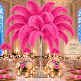 22-24 Inch Ostrich Feathers | 12 Pieces