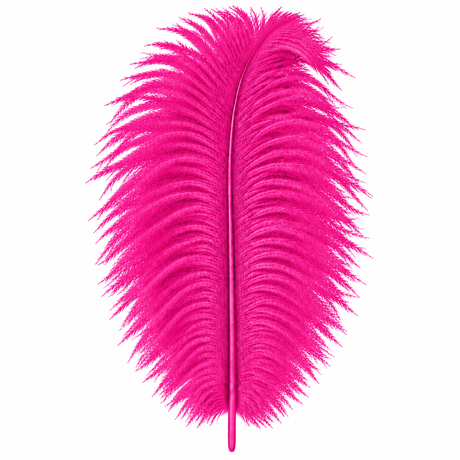 12-14 Inch Ostrich Feathers | 12 Pieces