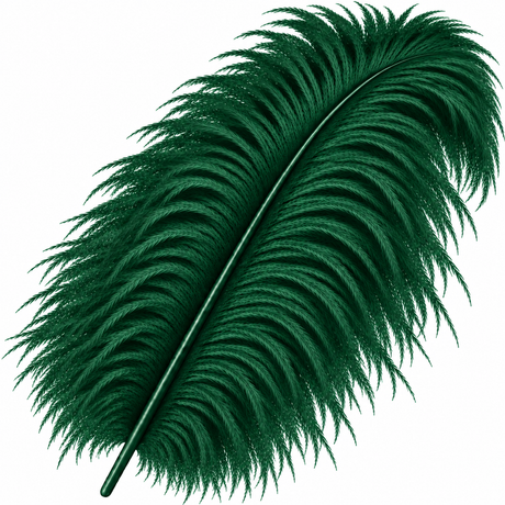 22-24 Inch Ostrich Feathers | 12 Pieces