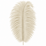12-14 Inch Ostrich Feathers | 12 Pieces