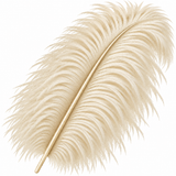 22-24 Inch Ostrich Feathers | 12 Pieces