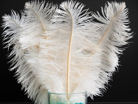 Malibu Blue Ostrich Feathers 22-24 Inches