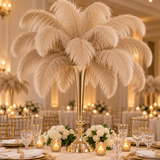 22-24 Inch Ostrich Feathers | 12 Pieces