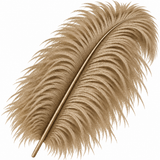 22-24 Inch Ostrich Feathers | 12 Pieces