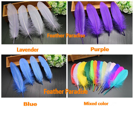 20 Pieces Goose Pallet Feathers FeatherParadise.com