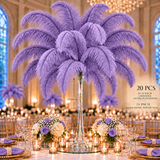 22-24 Inch Ostrich Feathers | 12 Pieces