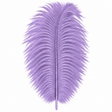 12-14 Inch Ostrich Feathers | 12 Pieces