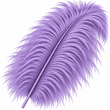 22-24 Inch Ostrich Feathers | 12 Pieces