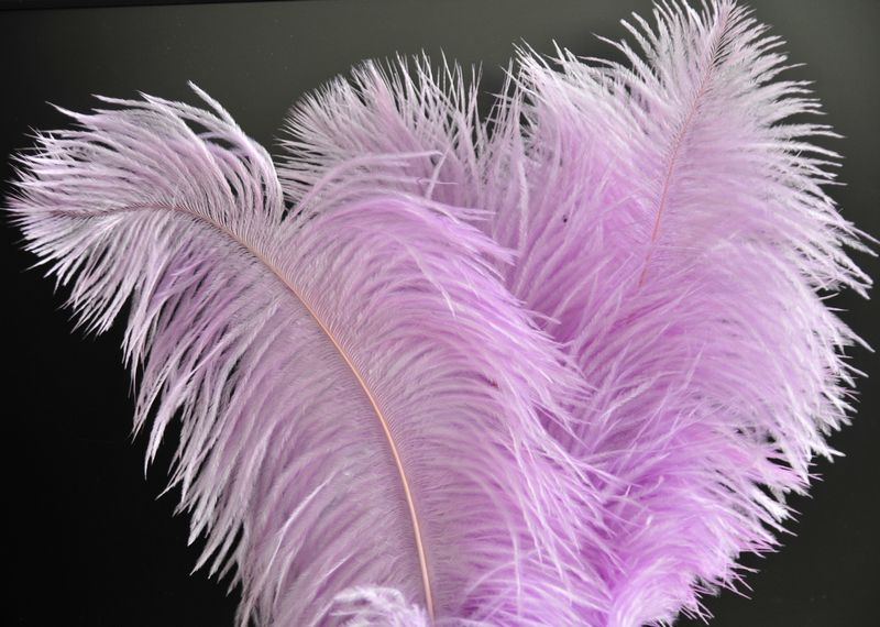 Lavender Ostrich Feathers 24-26 Inches