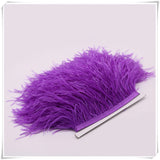10 Yard 4-6 Inches Ostrich Feather Fringe