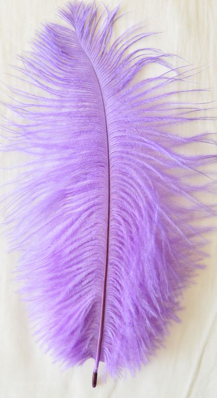 Peach Ostrich Feathers 14-16 Inches