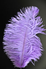 Navy 8-10 Inches Ostrich Feathers 100 Pieces