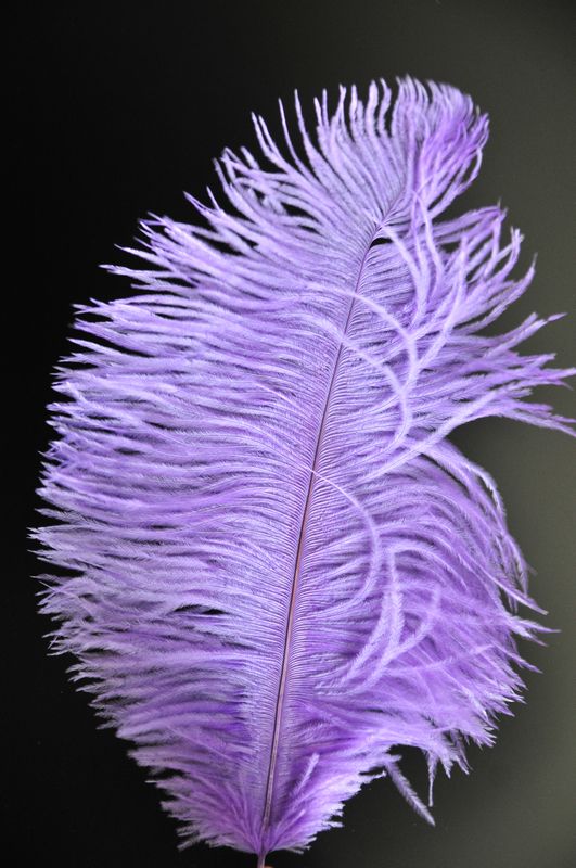 Orange Ostrich Feathers 28-30 Inches