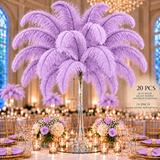 22-24 Inch Ostrich Feathers | 12 Pieces