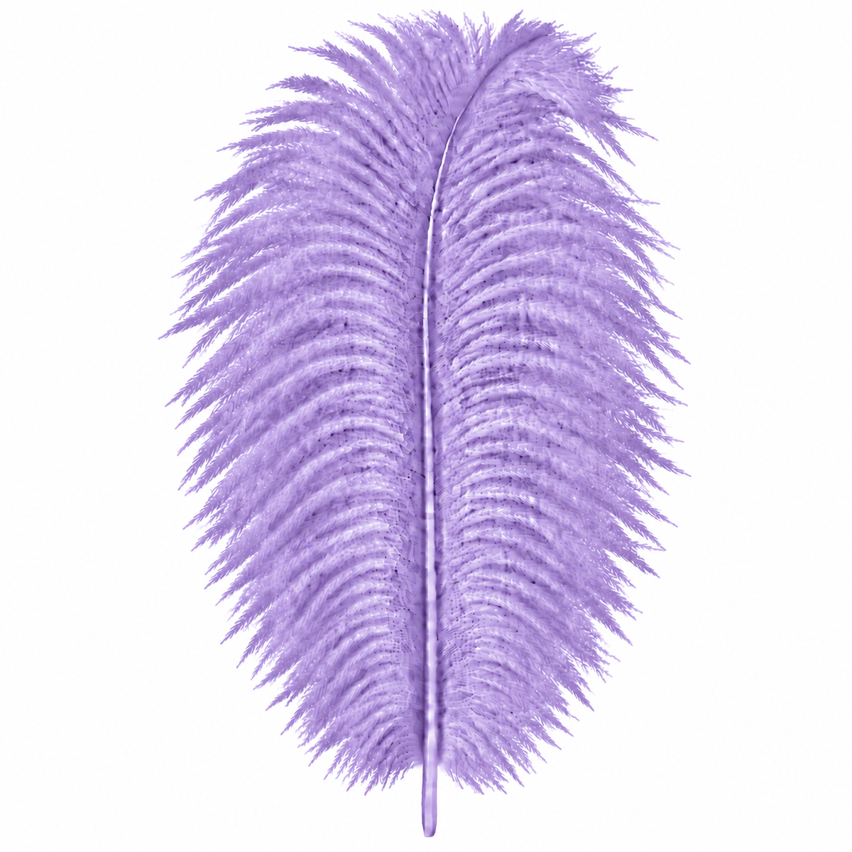 12-14 Inch Ostrich Feathers | 12 Pieces