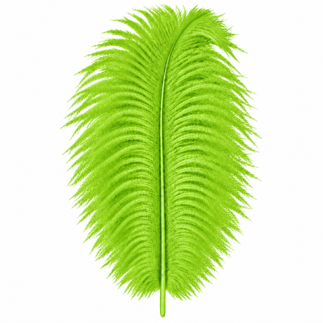 12-14 Inch Ostrich Feathers | 12 Pieces