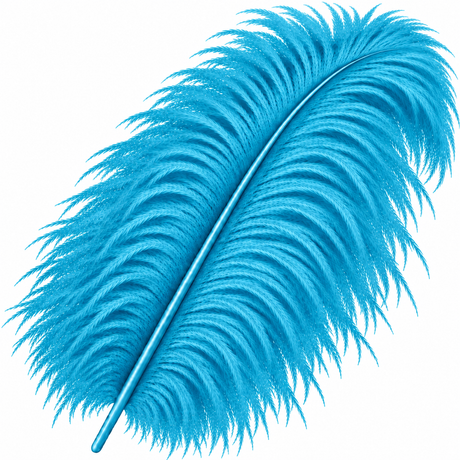22-24 Inch Ostrich Feathers | 12 Pieces