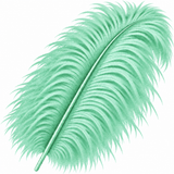 22-24 Inch Ostrich Feathers | 12 Pieces