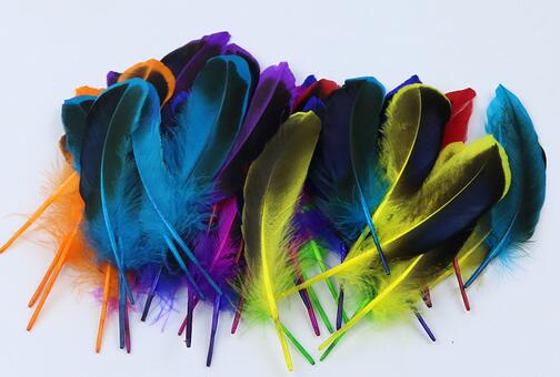 100 Pieces Dyed Duck Coque Feathers for Crafts & Decor FeatherParadise.com