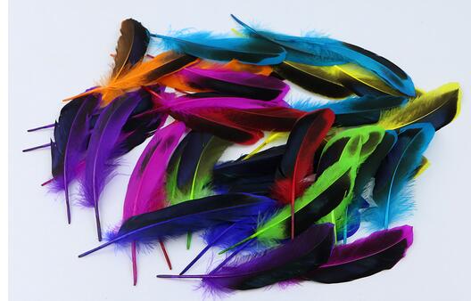 100 Pieces Dyed Duck Coque Feathers for Crafts & Decor FeatherParadise.com