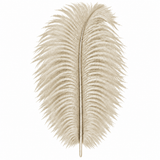 12-14 Inch Ostrich Feathers | 12 Pieces