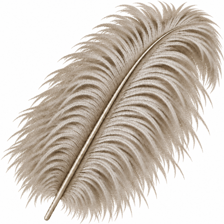 22-24 Inch Ostrich Feathers | 12 Pieces