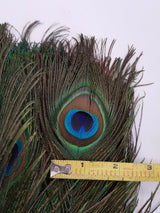 Black 8-10 Inches Ostrich Feathers 100 Pieces