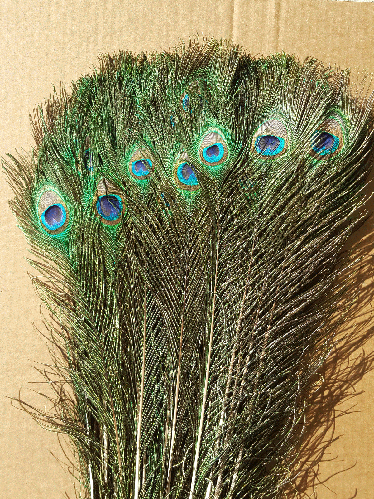 Lavender 8-10 Inches Ostrich Feathers 100 Pieces