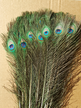 Lavender 8-10 Inches Ostrich Feathers 100 Pieces