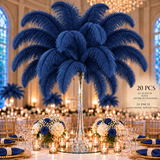 22-24 Inch Ostrich Feathers | 12 Pieces