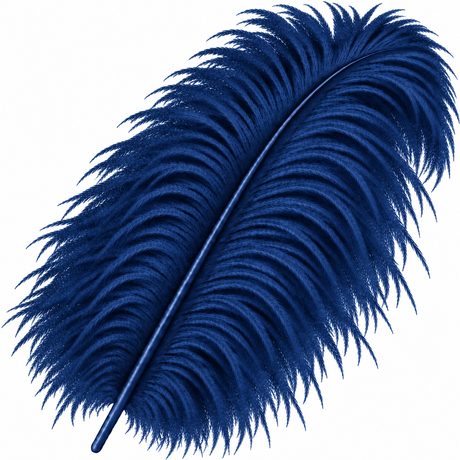 22-24 Inch Ostrich Feathers | 12 Pieces