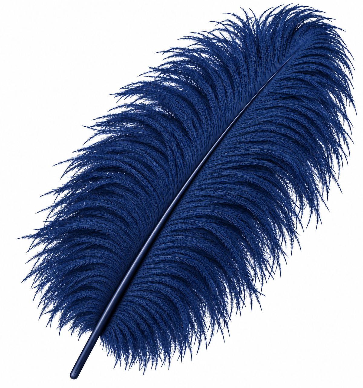 24-26 Inch Ostrich Feathers | 12 Pieces