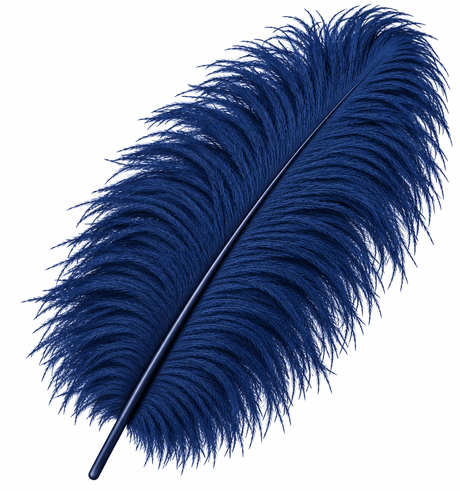 24-26 Inch Ostrich Feathers | 12 Pieces