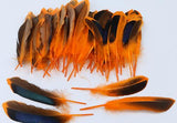 100 Pieces Dyed Duck Coque Feathers for Crafts & Decor FeatherParadise.com