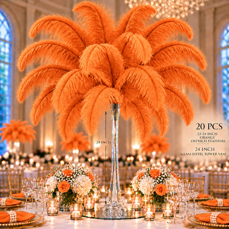 22-24 Inch Ostrich Feathers | 12 Pieces