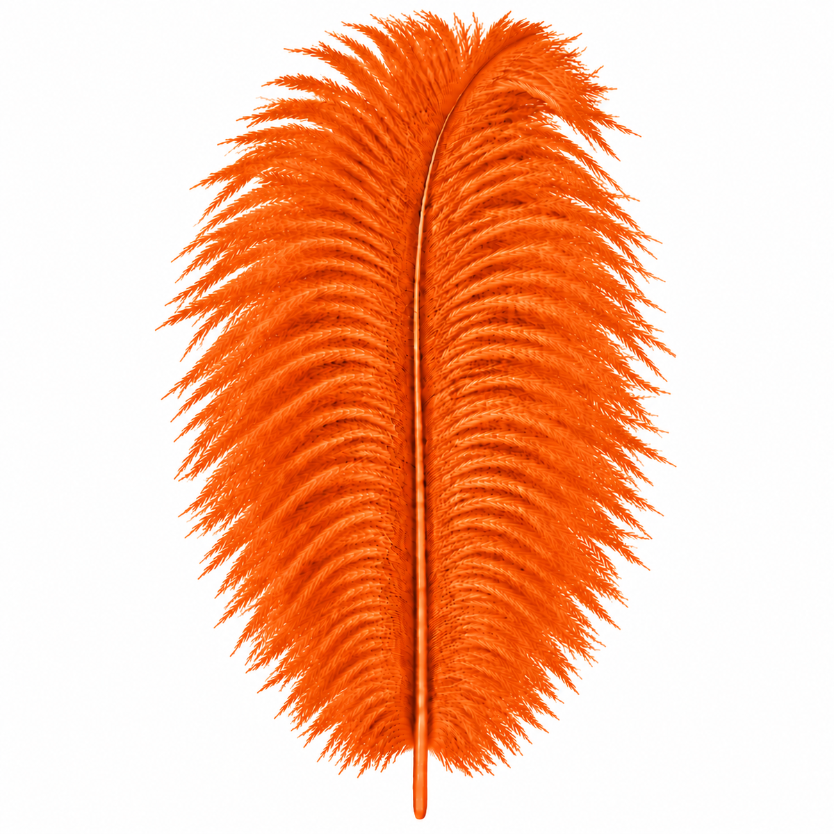 12-14 Inch Ostrich Feathers | 12 Pieces