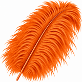 22-24 Inch Ostrich Feathers | 12 Pieces