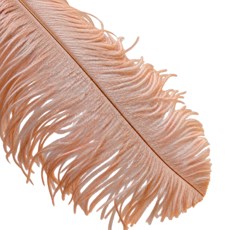 22-24 Inch Ostrich Feathers | 12 Pieces