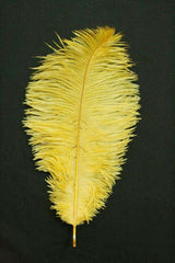 Ivory Ostrich Feathers 26-28 Inches