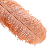 22-24 Inch Ostrich Feathers | 12 Pieces