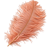 22-24 Inch Ostrich Feathers | 12 Pieces