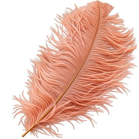 22-24 Inch Ostrich Feathers | 12 Pieces