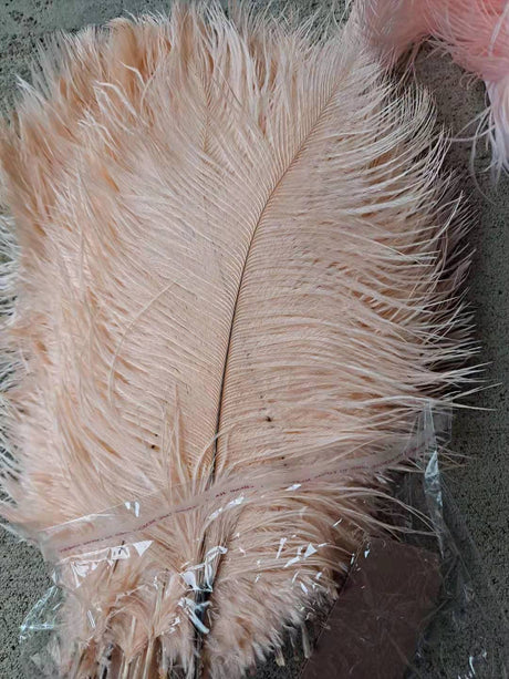 Blue Ostrich Feathers 22-24 Inches