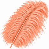 22-24 Inch Ostrich Feathers | 12 Pieces