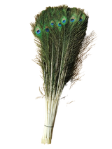 Light Purple 8-10 Inches Ostrich Feathers 100 Pieces