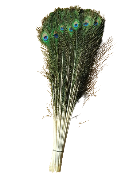 Light Purple 8-10 Inches Ostrich Feathers 100 Pieces