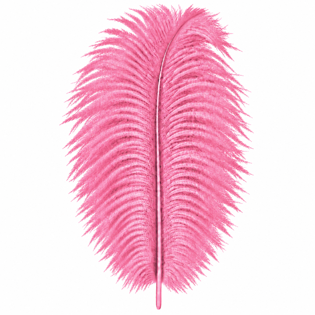 12-14 Inch Ostrich Feathers | 12 Pieces