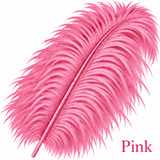 22-24 Inch Ostrich Feathers | 12 Pieces