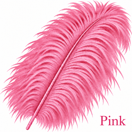 22-24 Inch Ostrich Feathers | 12 Pieces